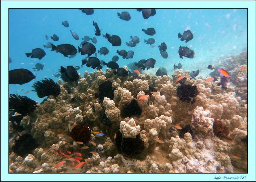 2009   07   Matakin 13